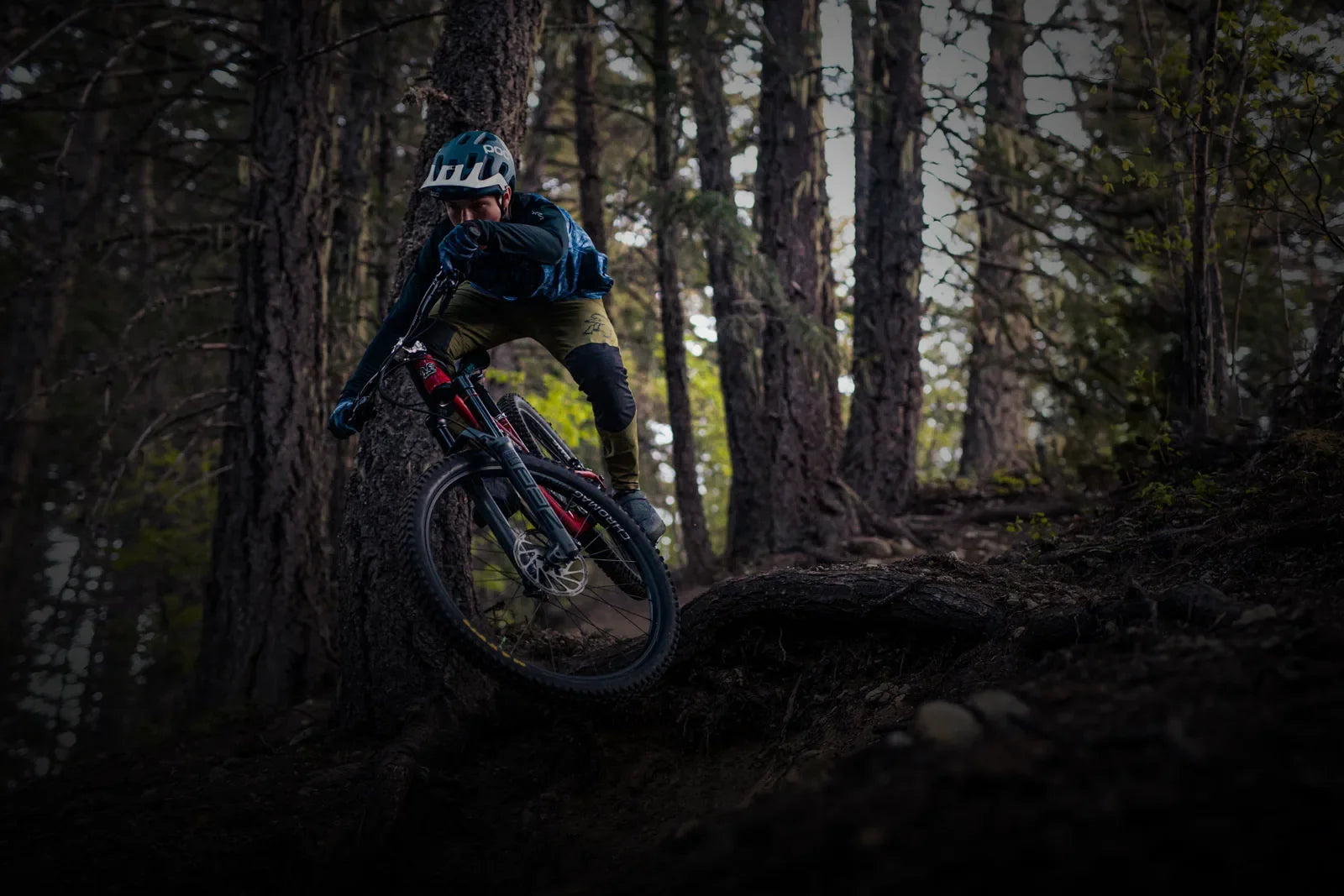 A mountain biker in a helmet and protective gear is riding a red mountain bike on a dirt trail through a dense forest. The biker is leaning into a turn, with tall pine trees surrounding the scene.